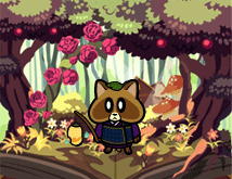 Racoon Konchi in the forest